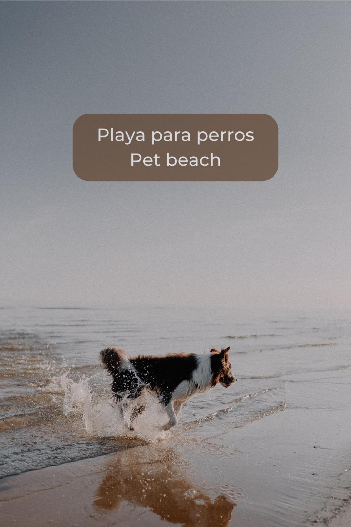 Candy Pop - Pool, 2 Terraces,Desk And High Speed Internet كوراليهو المظهر الخارجي الصورة